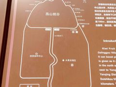 -大岭沟猕猴桃谷风景区