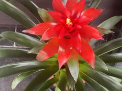 -荷风细雨·中国茶宴(碧云店)