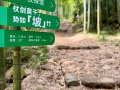 -莫干山风景区