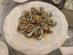 鲍鱼-岭南海晏楼(东晓南店)