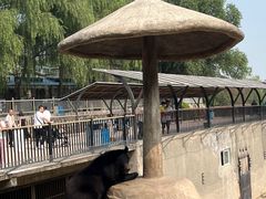 -石家庄市动物园