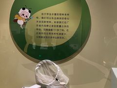 -广东省博物馆