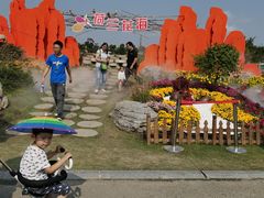 -荷兰花海
