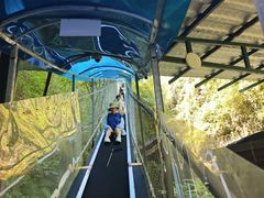 -鹿院坪生态旅游景区