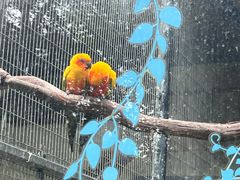 -上海动物园(地铁站)