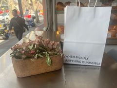 -WHEN PIGS FLY当猪飞