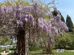 -国家植物园南园