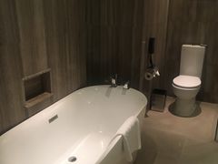 -常州环球恐龙城维景国际大酒店