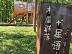 -黄海国家森林公园