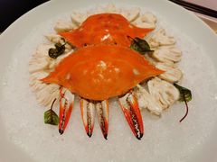 -子福慧(虹桥店)