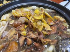 -菌之家·专业纯野生菌火锅·特色炒菌