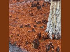 -南京市无想山景区