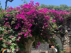 -高荡千年布依古寨旅游景区