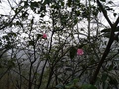 -崀山风景名胜区