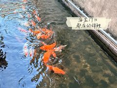 -前童古镇