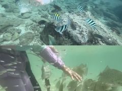 -麦哲伦丝绸度假村