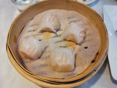 -云中小雅