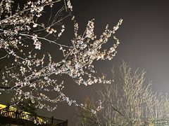 -大连金石滩绿发温泉假日酒店