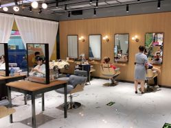 -T8 SALON