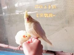 -山东柏宁水族批发广场