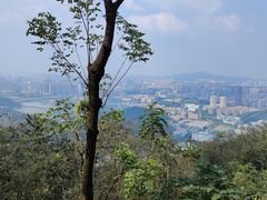 -岳麓山风景名胜区