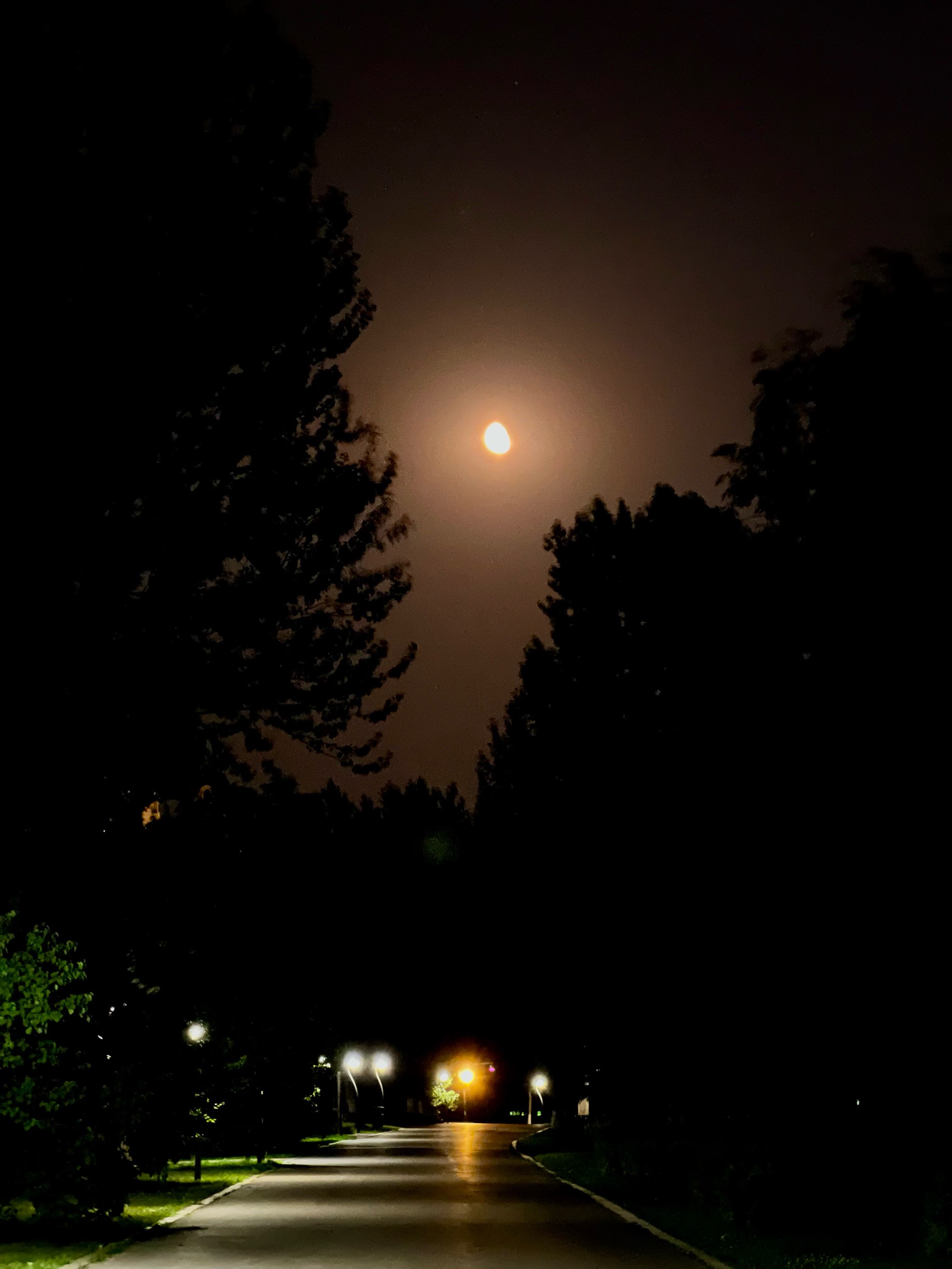 临沂手机拍摄的夜景图片