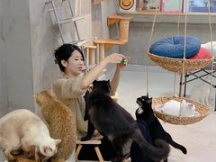 -Heymao猫咖.咖啡厅(东门店)