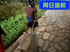 -北京市海淀外国语实验学校