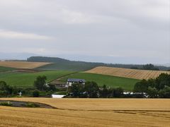 -富田农场
