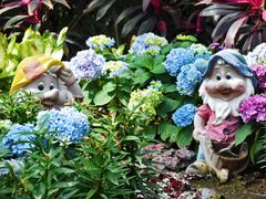 -石家庄市植物园