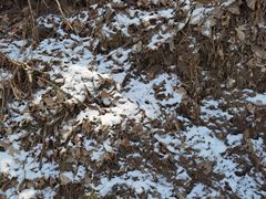 -终南山南五台景区