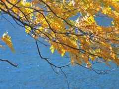 -叠溪松坪沟景区