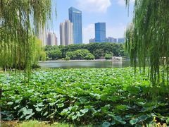 -后襄河公园