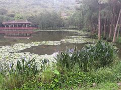 -顺峰山公园