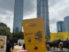 -陆家嘴中心绿地
