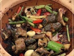 -天宝食坊·啫啫煲大排档(西华路店)