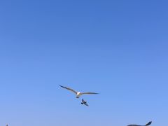 -星海广场