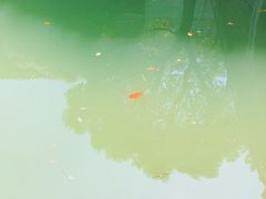 -龙潭水乡