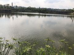 -枫香湖儿童公园