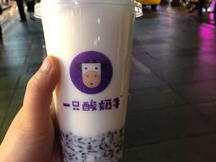 -一只酸奶牛(八一路店)