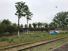 -永定河休闲森林公园