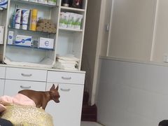 -爱脊康新中式推拿(江汉路步行街店)