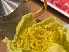 -掂档潮汕牛肉火锅(沈阳万象城店)