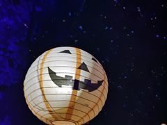 -温州乐园