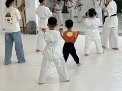 -极真空手道修远道场