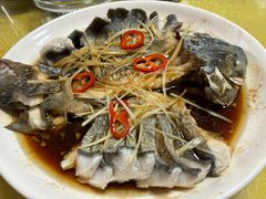 -煲来饱去冷水鱼