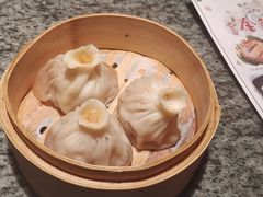 -南京大牌档(青岛万象城店)