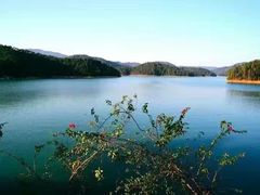 -中旅阿那亚九龙湖·公主酒店