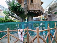 -杭州开元森泊度假乐园