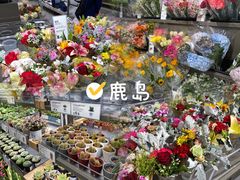 -鹿岛生活(熙地港店)